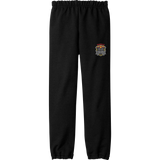 Danville Iron Youth Heavy Blend Sweatpant