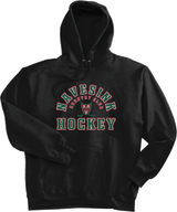 Navesink Super Heavyweight Fleece Hoodie